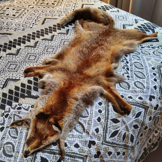 Fox Pelt
