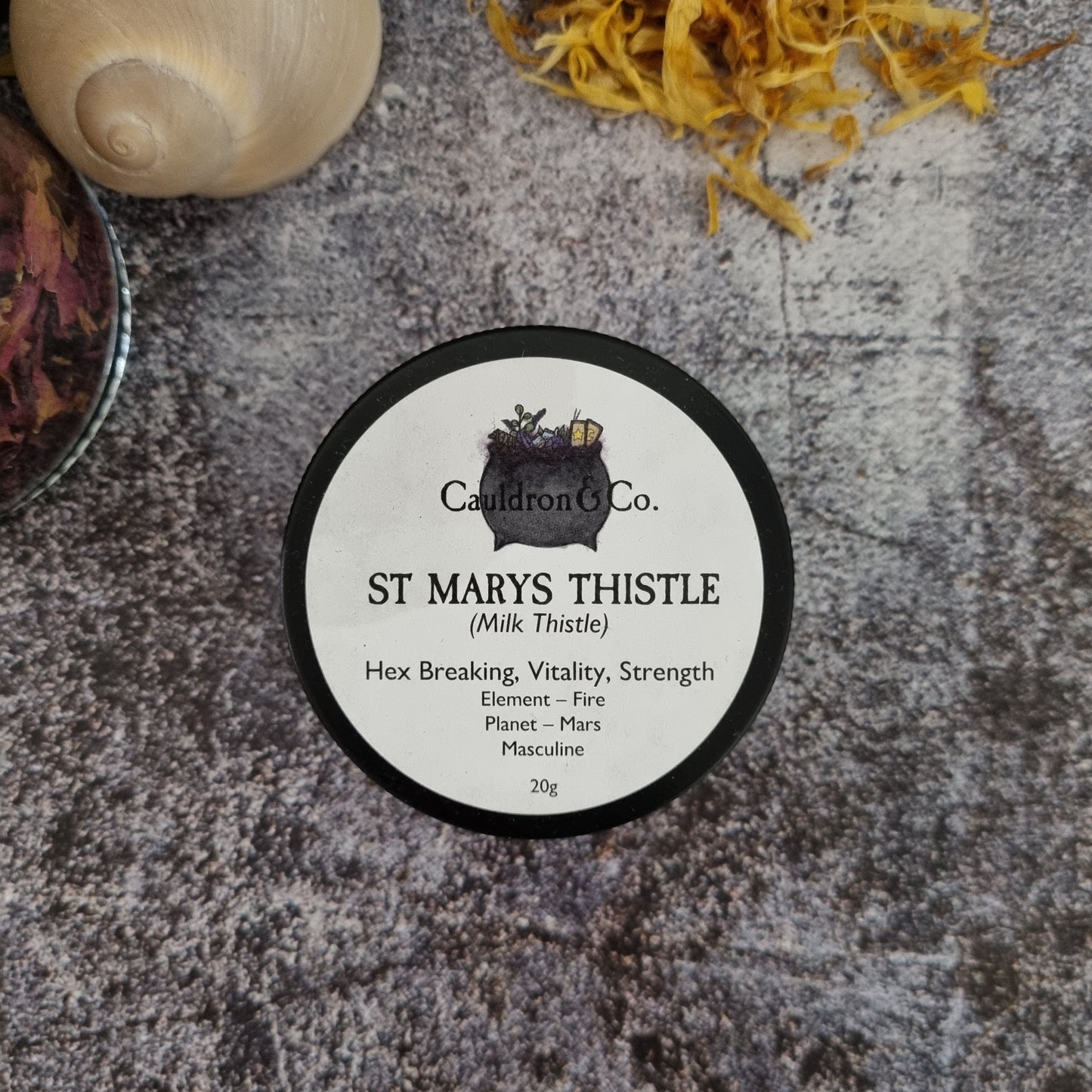 St Marys Thistle (Milk Thistle)
